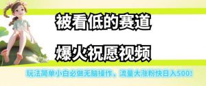 被看低的赛道爆火祝愿视频，玩法简单小白必做无脑操作，流量大涨粉快日入500-木石资源网
