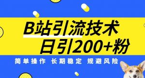 B站引流技术:每天引流200精准粉,简单操作,长期稳定,规避风险-木石资源网