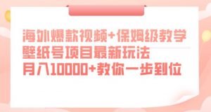 海外爆款视频+保姆级教学，壁纸号项目最新玩法，月入10000+教你一步到位【揭秘】-木石资源网