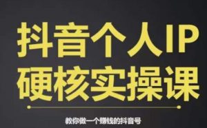 个人IP创富系统实战课，商业定位，流量打造，短视频变现，教你做个赚钱的抖音号-木石资源网