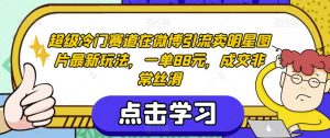 超级冷门赛道在微博引流卖明星图片最新玩法，一单88元，成交非常丝滑【揭秘】-木石资源网