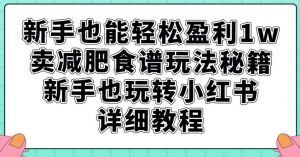 新手也能轻松盈利1w，卖减肥食谱玩法秘籍，新手也玩转小红书详细教程【揭秘】-木石资源网