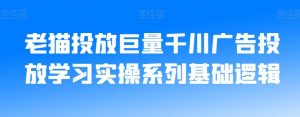 老猫投放巨量千川广告投放学习实操系列基础逻辑-木石资源网