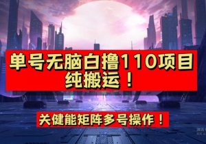 9月全网首发，单号直接白撸110！可多号操作，无脑搬运复制粘贴【揭秘】-木石资源网