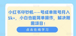小红书印钞机——号成单账号月入5k+，小白也能简单操作，解决刚需项目【揭秘】-木石资源网