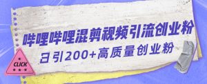 哔哩哔哩B站混剪视频引流创业粉日引300+-木石资源网