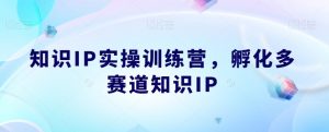 知识IP实操训练营，​孵化多赛道知识IP-木石资源网
