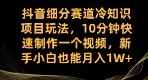 抖音细分赛道冷知识项目玩法，10分钟快速制作一个视频，新手小白也能月入1W+【揭秘】-木石资源网