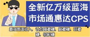 全新亿万级蓝海市场通惠达cps，最强管道收入，让你睡着赚、躺着赚、玩着赚、轻松赚【揭秘】-木石资源网