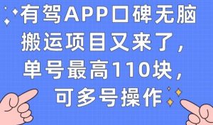 有驾APP口碑无脑搬运项目又来了，单号最高110块，可多号操作-木石资源网