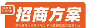 王昕招商方案,解构招商方案意识形态,精准把握渠道代理基本法-木石资源网