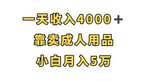 一天收入4000+,靠卖成人用品,小白轻松月入5万【揭秘】-木石资源网