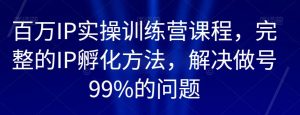 百万IP实操训练营课程，完整的IP孵化方法，解决做号99%的问题-木石资源网