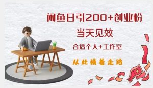 闲鱼精准引流创业粉，日引200+，当天见效，从此横着走-木石资源网