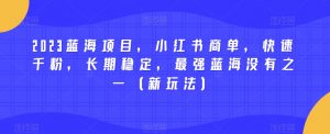 2023蓝海项目，小红书商单，快速千粉，长期稳定，最强蓝海没有之一（新玩法）-木石资源网