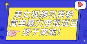价值3980的男粉暴力引流变现项目，一部手机简单操作，新手小白轻松上手，每日收益500+【揭秘】-木石资源网