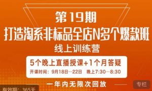 打造淘系非标全店N多个爆款线上课，​5天直播课-木石资源网