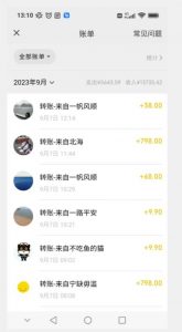 卖古籍电子书，作品只需要简单的图片去重，高客单价高利润，月入五位轻轻松松-木石资源网