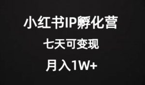 价值2000+的小红书IP孵化营项目,超级大蓝海,七天即可开始变现,稳定月入1W+-木石资源网