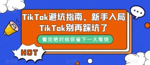 TikTok避坑指南,新手入局TikTok别再踩坑了-木石资源网
