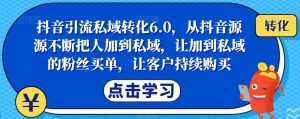 抖音引流私域转化6.0,从抖音源源不断把人加到私域,让加到私域的粉丝买单,让客户持续购买-木石资源网