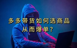 多多视频带货选什么商品链接才能爆单,10分钟教会你,爆单不是浮云【揭秘】-木石资源网