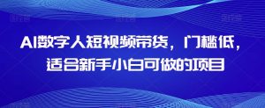AI数字人短视频带货,门槛低,适合新手小白可做的项目-木石资源网