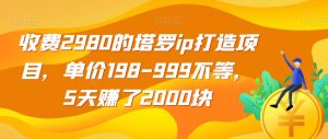 收费2980的塔罗ip打造项目,单价198-999不等,5天赚了2000块【揭秘】-木石资源网