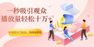 中视频冷门玩法，一秒吸引观众，播放量轻松十万+，保姆级教程【揭秘】-木石资源网