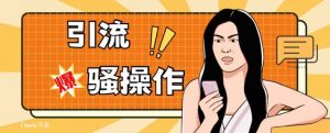 最新引流骚操作，单账号日引50-100，简单粗暴，适合于小白各行各业都可以进行操作，精准粉丝加到爆-木石资源网