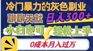 冷门暴利的副业项目,聊聊天就能日入300+,0成本月入过万【揭秘】-木石资源网