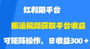 搬运视频获取平台收益，平台红利期，附保姆级教程【揭秘】-木石资源网