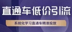 直通车低价引流课,系统化学习直通车精准投放-木石资源网