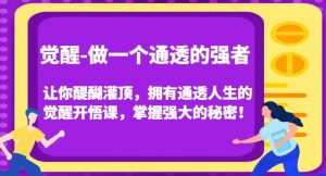 觉醒-做一个通透的强者,让你醍醐灌顶,拥有通透人生的觉醒开悟课,掌握强大的秘密!-木石资源网