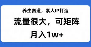 养生赛道,素人IP打造,流量很大,可矩阵,月入1w+【揭秘】-木石资源网