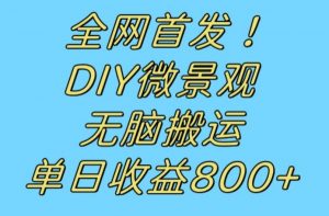 全网首发冷门赛道!DIY微景观,无脑搬运视频,日收益800+【揭秘】-木石资源网