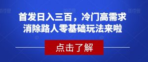首发日入三百，冷门高需求消除路人零基础玩法来啦【揭秘】-木石资源网