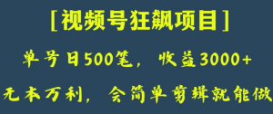 日收款500笔，纯利润3000+，视频号狂飙项目，会简单剪辑就能做【揭秘】-木石资源网