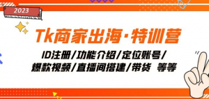 Tk商家出海·特训营:ID注册/功能介绍/定位账号/爆款视频/直播间搭建/带货-木石资源网