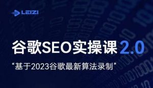 雷子·谷歌SEO 2.0实战课,独立站询盘自由必备,基于2023谷歌最新算法录制-木石资源网