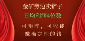 金矿旁边卖铲子，赚确定性的钱，可矩阵，可收徒，日均利润4位数【揭秘】-木石资源网