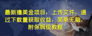 最新撸美金项目,上传文件,通过下载量获取收益,简单无脑,附保姆级教程【揭秘】-木石资源网