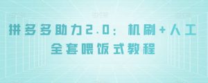 拼多多助力2.0:机刷+人工全套喂饭式教程【揭秘】-木石资源网
