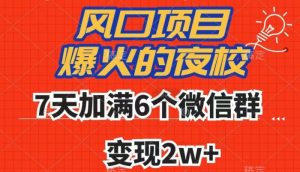 全网首发，爆火的夜校，7天加满6个微信群，变现2w+【揭秘】-木石资源网