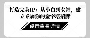 打造完美IP:从小白到女神,建立专属你的金字塔招牌-木石资源网