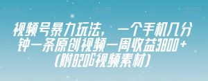 视频号暴力玩法,一个手机几分钟一条原创视频一周收益3800+(附820G视频素材)-木石资源网