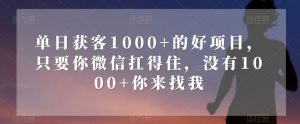 单日获客1000+的好项目,只要你微信扛得住,没有1000+你来找我【揭秘】-木石资源网