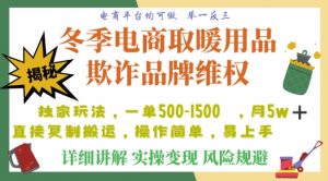 利用电商平台冬季销售取暖用品欺诈行为合理制裁店铺，单日入900+【仅揭秘】-木石资源网