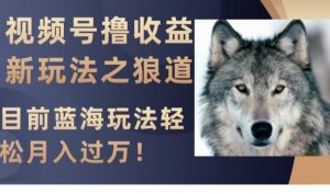 视频号撸收益新玩法之狼道，目前蓝海玩法，轻松月入过万【揭秘】-木石资源网