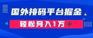 通过国外接码平台掘金：成本1.3，利润10＋，轻松月入1万＋【揭秘】-木石资源网